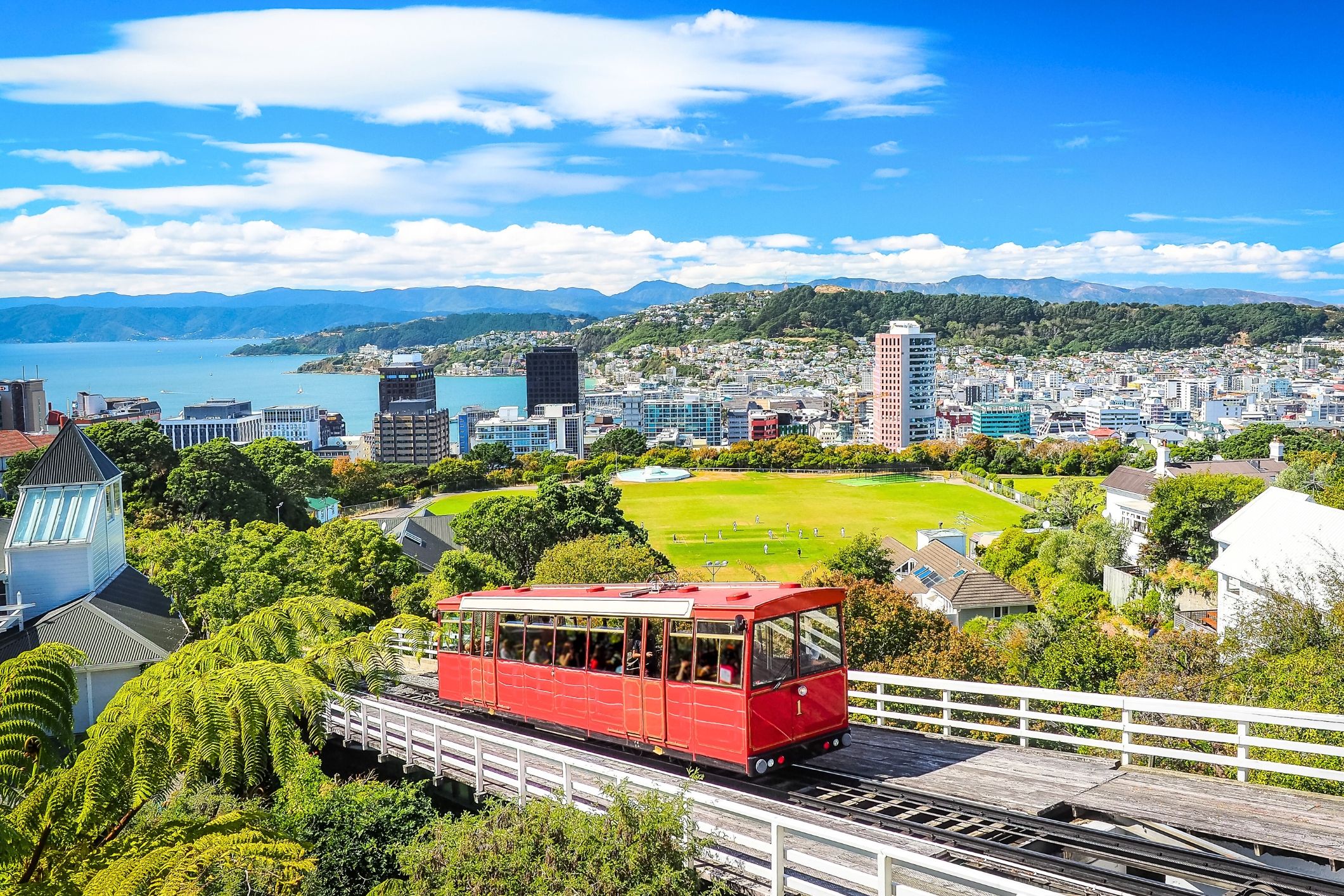 Wellington